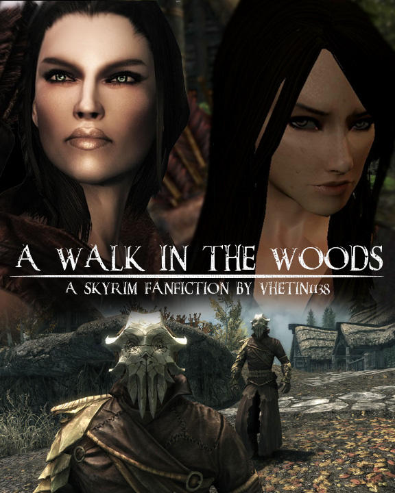 Skyrim Fanfiction Cover by Vhetin1138 on DeviantArt
