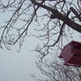 Red House in the Trees