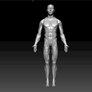 Human-video 3d engine proof