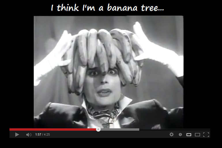 I think I'm a banana tree...