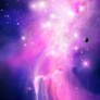 TEMPORARY EXISTENCE