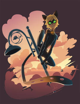 Cat Noir