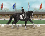 Tuxedo - Lugnas Int. - Dressage by MistyofSunrise