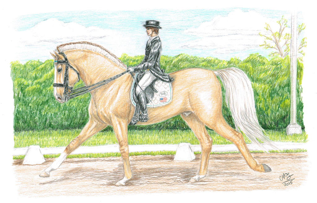 Ragnar : Lugnas - Dressage