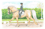 Ragnar : Lugnas - Dressage by MistyofSunrise