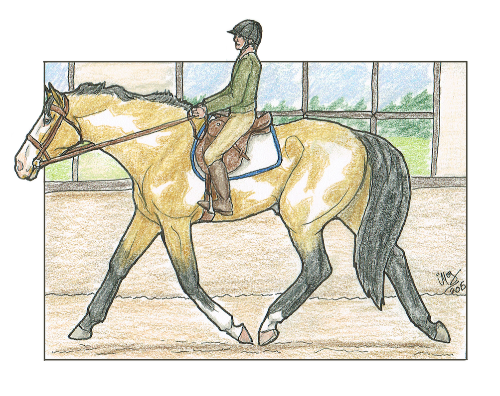 Charles : Rider Level 1 by MistyofSunrise on DeviantArt