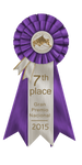 7th Place by MistyofSunrise