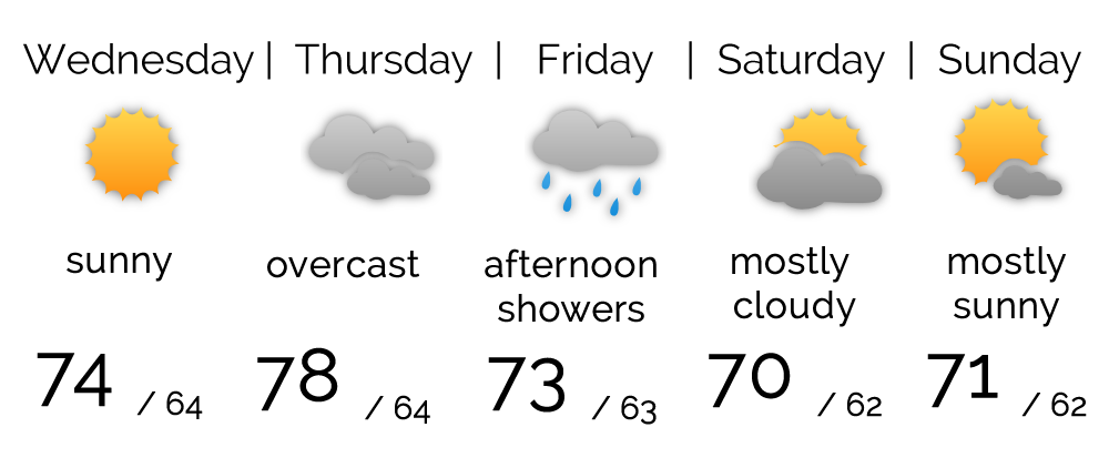 Centralparkshow Weather by MistyofSunrise Centralparkshow Weather by MistyofSunrise