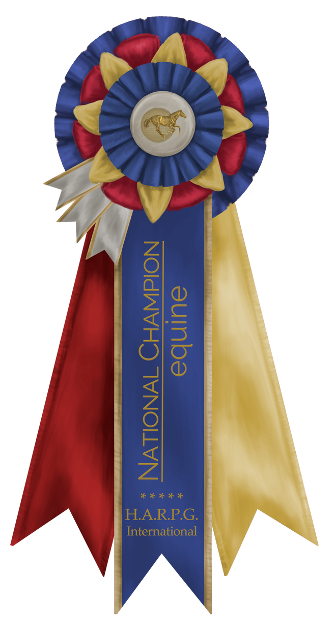 National Champion Ribbon by MistyofSunrise on DeviantArt