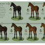 Equine Colour Guide :: Bay I