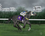 Barry :: Isao Hai Race - 1st