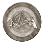 2016SilverMerit by MistyofSunrise