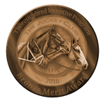 2016BronzeMerit by MistyofSunrise
