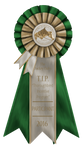 2016TIP Participant by MistyofSunrise