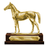 2016XHoTY Katto by MistyofSunrise