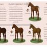 Equine Colour Guide :: Chestnut