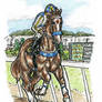 Honey :: Heritage Day Stakes