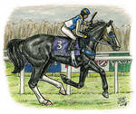 Shade :: Goffs Fut. Stars Bumper - 1st by MistyofSunrise