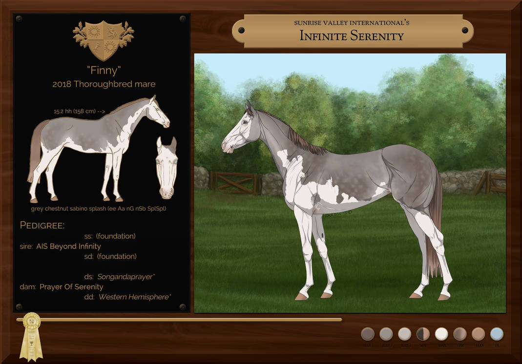 Equestrian R Infinity Infinite Serenity by MistyofSunrise on DeviantArt