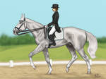 Finn :: TJC Dressage by MistyofSunrise