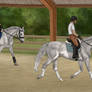 Blitz :: Novice Dressage Diploma Program