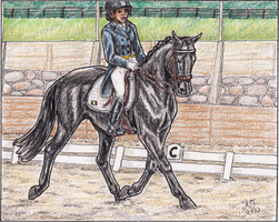 Zita FEI Ermelo Dressage