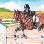 WBS Summer Jumping