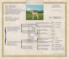 Cupid's Ghost :: complete pedigree