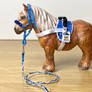 Danny :: CKR therapy pony
