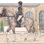 Rio :: Young Castle Dressage