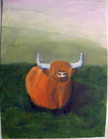 Highland Cow