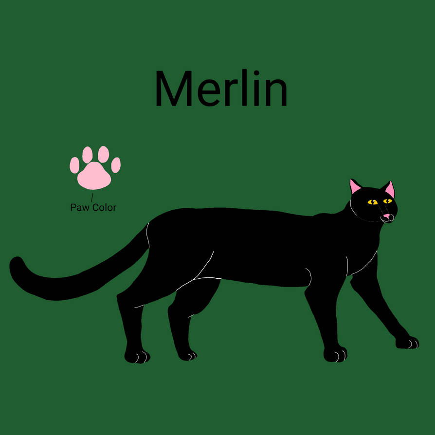 Merlin Reference Sheet by Dragondog5600 on DeviantArt