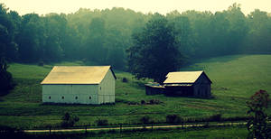 Barn Storming 6