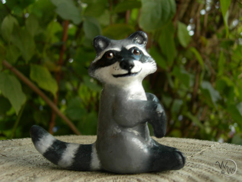 Mika, the wise little raccoon by Artemis-Ravencroft on DeviantArt
