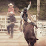 Bull Rider