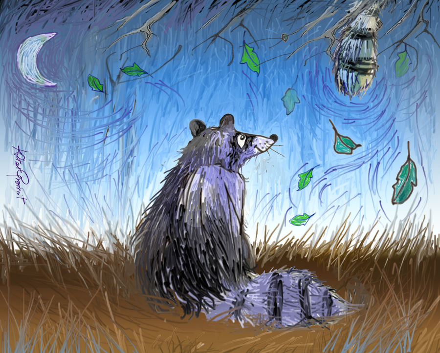 Two raccoons by altergromit on DeviantArt