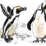 The Three Penguins