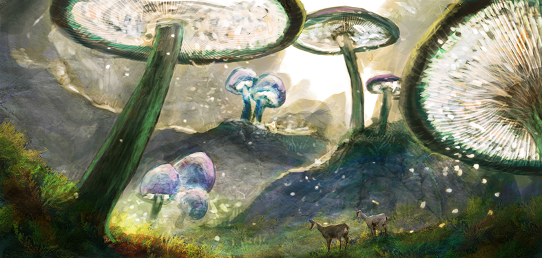 Mushroom Trees