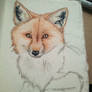 Fox doodle + handmade paper