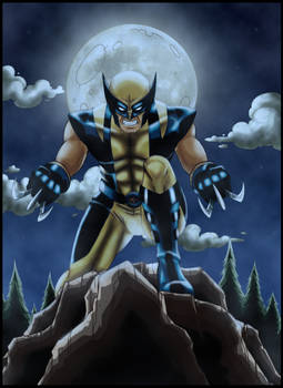 Wolverine at night