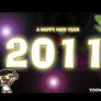 Happy new year 2011