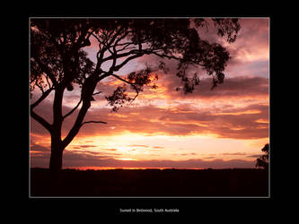 Sunset in Birdwood 2