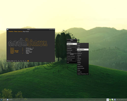 Arch Linux Screenshot