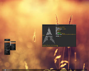 Arch Linux 2011-11-25