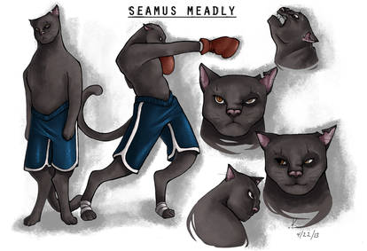 Seamus Meadly