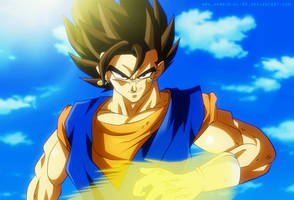 Vegito Fast Color