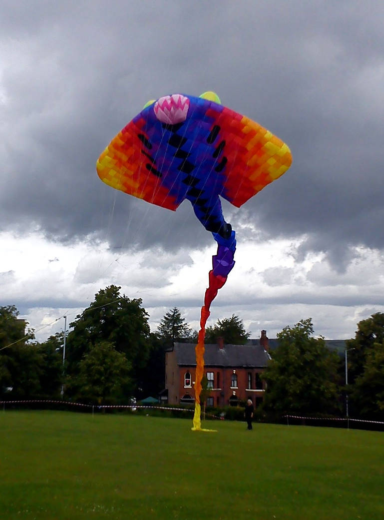 Big Rabbit Kite Giant Stingray Kite by Poolbandit on DeviantArt