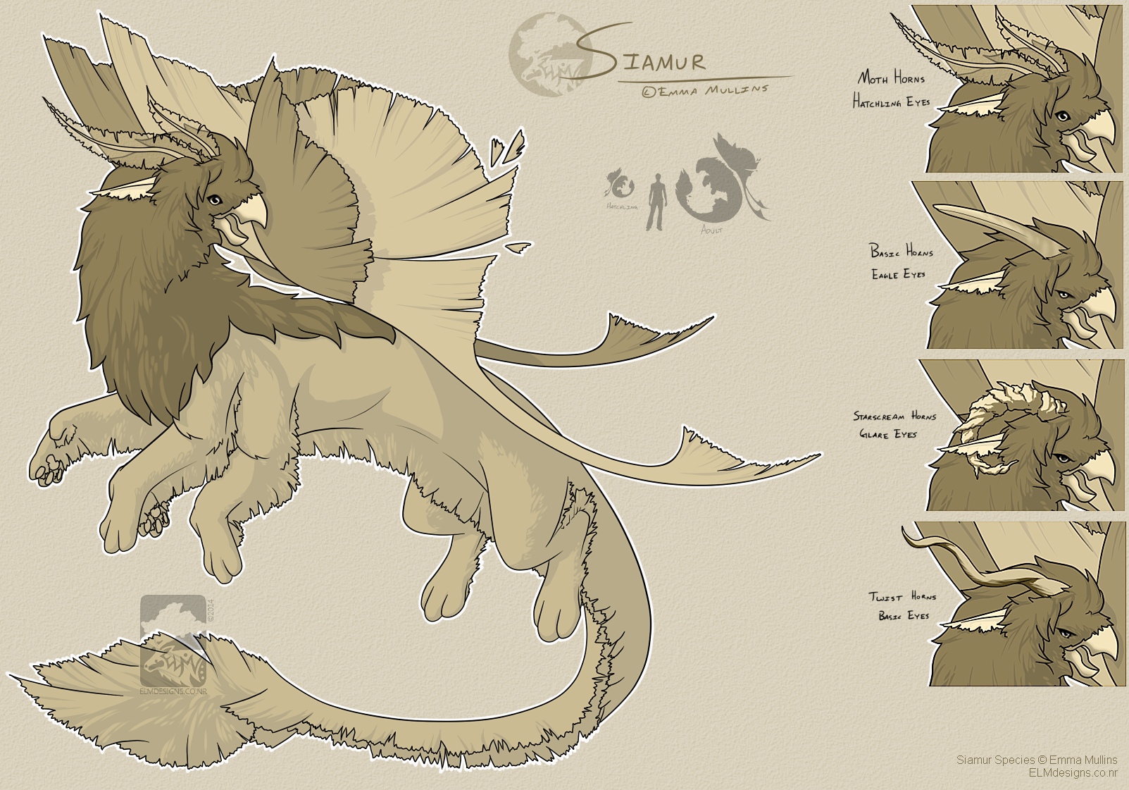 Siamur Species Sheet