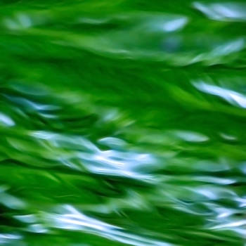 waterwhirlygreen by bluePartout