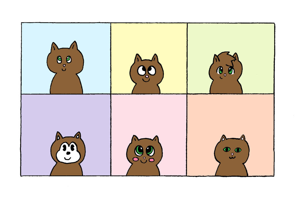 Cat Many Faces The Many Faces of the Kitty by katamariluv on DeviantArt